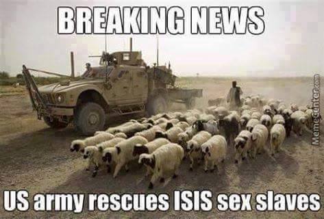 funny isis memes - Breaking News Memecenter.com Us army rescues Isis sex slaves