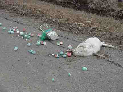 DUI kills Easter Bunny, Story at 11!