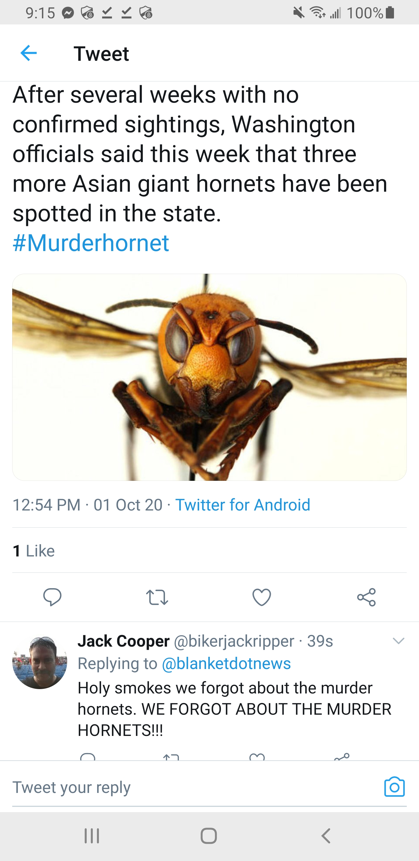 We actually DID forget about the Murder Hornets