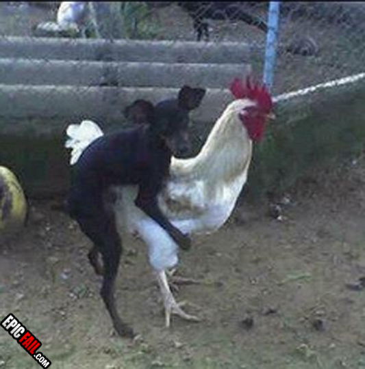 Fail and Fail and some more Fail!!!!!