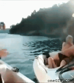Gifs And Pics to keep you occupied