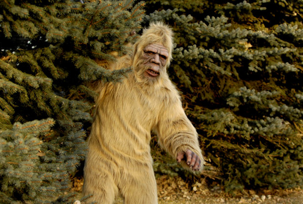 Usually shy-this Bigfoot allowed himself to be photographed but made no statement!