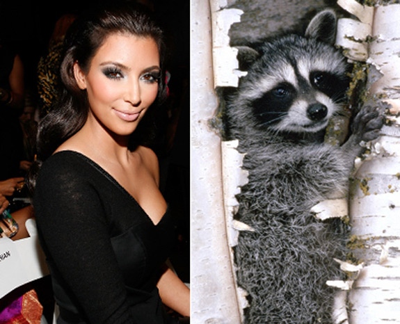 Celebrities and their resemblance to Animals
