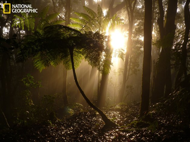 National Geographic's top photos of the week