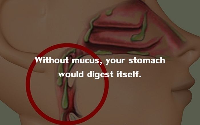 22 Strange facts about the human body