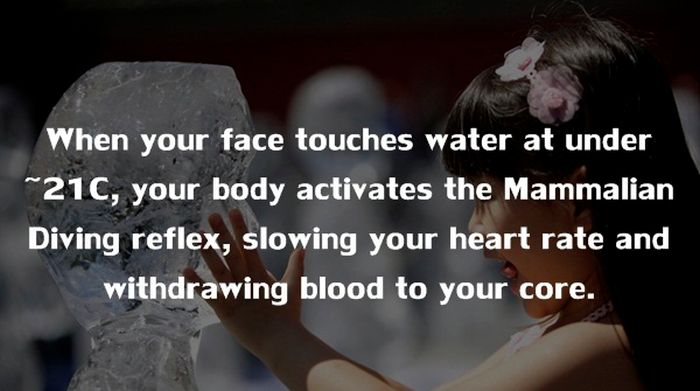 22 Strange facts about the human body
