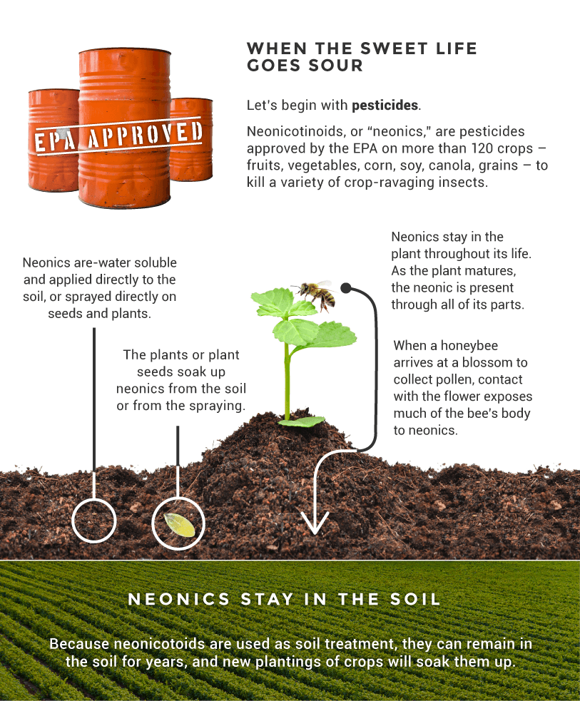 We love pouring chemicals on problems. We all have neonics in our bodies too. Yummy!