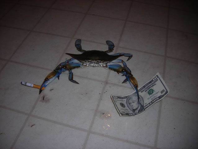 crab smoking