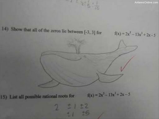 Amusing Exam Answers