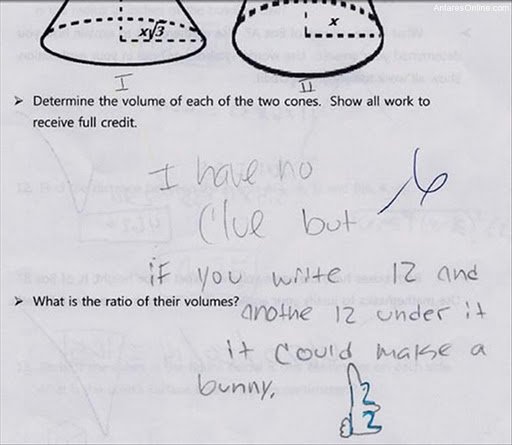 Amusing Exam Answers