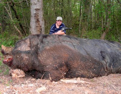 giant boar:
An 11-year-old boy used a .50-calibre pistol to kill a wild hog his father says weighed a staggering 476 kilograms and measured 2.74 metres from the tip of its snout to the base of its tail.