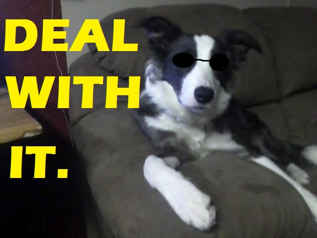 deal with it!!!!!!!!!!!!!!!!!!!!!!!!!!!!!!