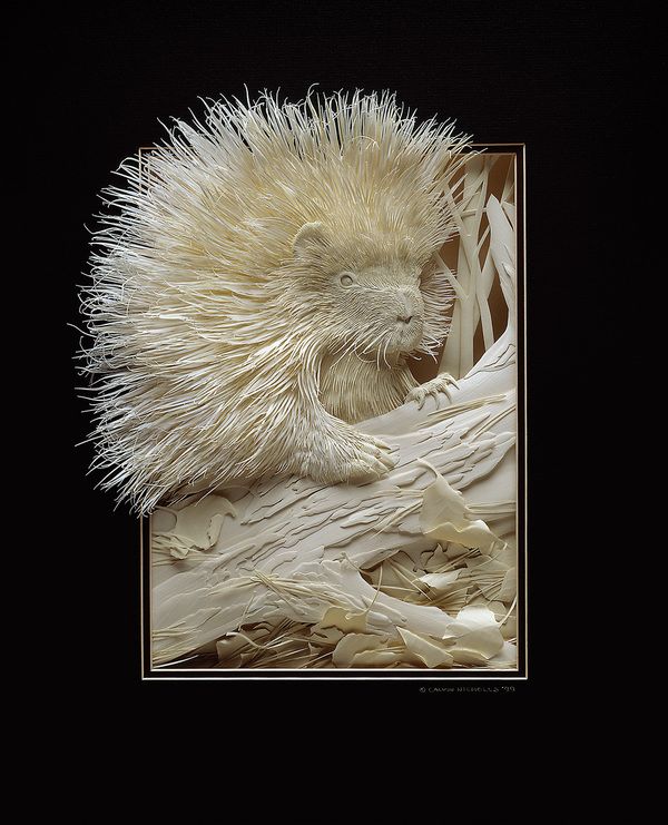 Cool Art Made From Sheds of Paper