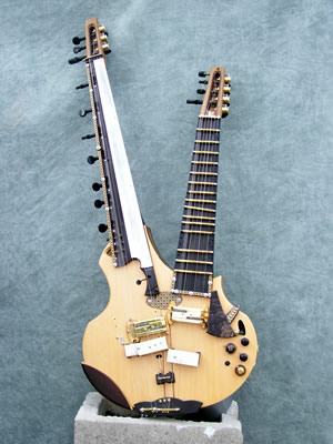 This is a sitar guitar combo. however letemdandles guitar zither combo is cool too!!!!