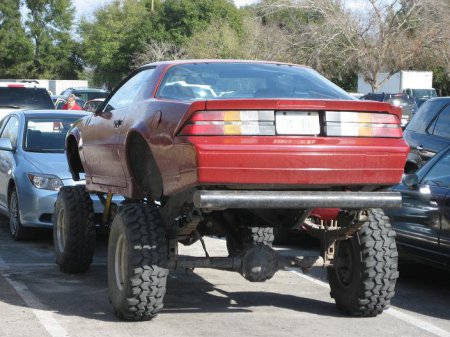 -|Gallery|- eBaums Picture Dump