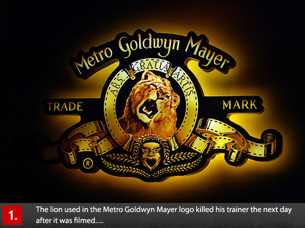 Goldwyn Maya Metro Gold Rs. Trade Mark The lion used in the Metro Goldwyn Mayer logo killed his trainer the next day after it was filmed.....