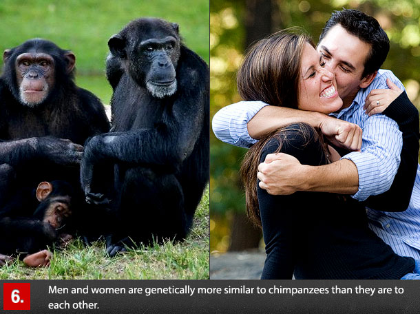 midnight confessions sex and relationship advice - Men and women are genetically more similar to chimpanzees than they are to each other.