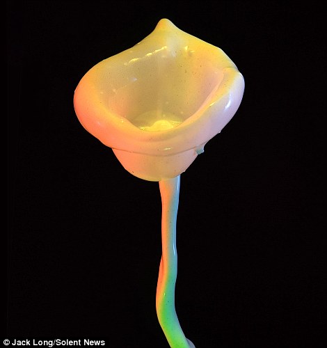 Liquid Flowers by Jack Long