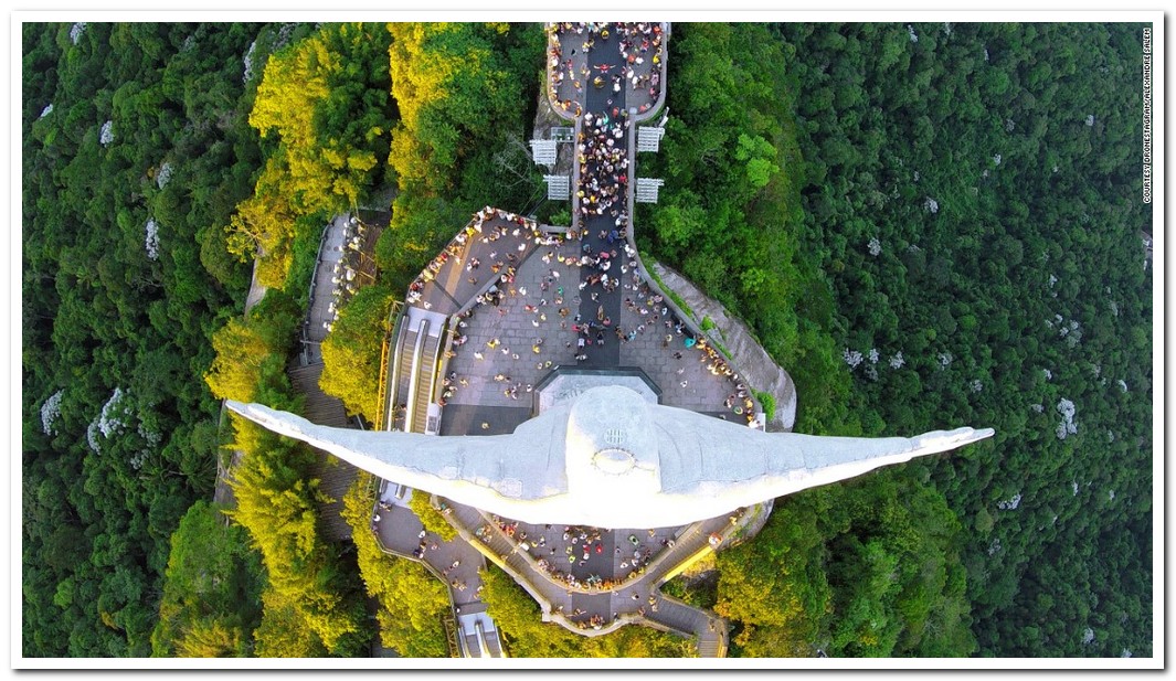 See the World through the Eyes of a Bird