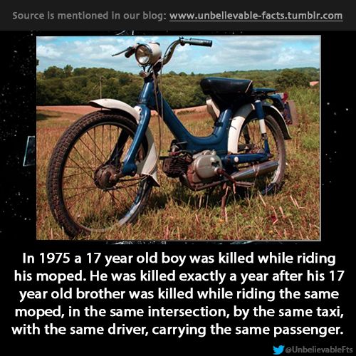 A Collection of Bizarre But True Factoids