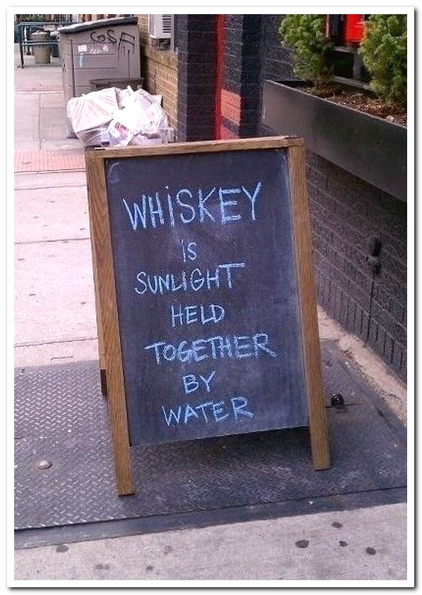 Bar Signs that will make you Drink