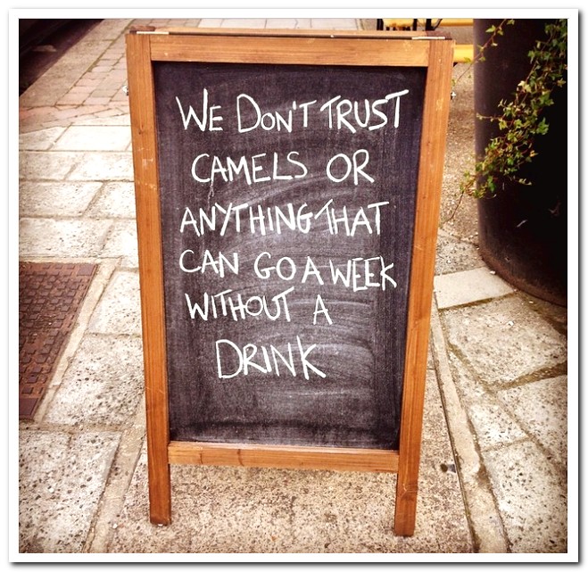 Bar Signs that will make you Drink