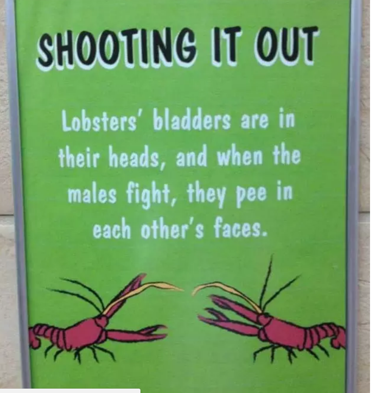 Fabulous and Funny Signs