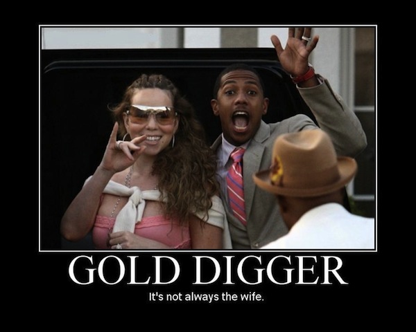 PicturePunches: Meme: Gold Digger