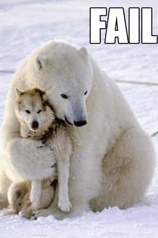 random pic polar bear hugs - Fat