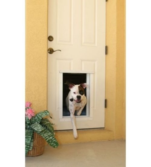 Isaac Newton invented the doggy door 