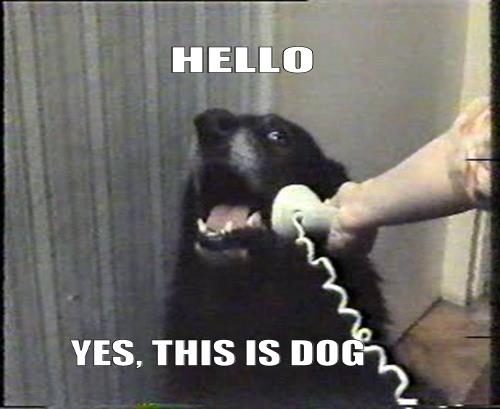 The word “hello” was invented because no one knew how to start a telephone call 