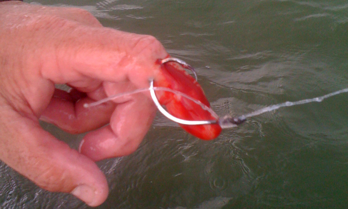 This guy had some pain after this big Hook caught him. OUCH!