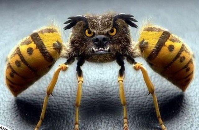 bad wasp