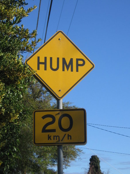I don't think I would mind speed bumps nearly as much if they were called humps