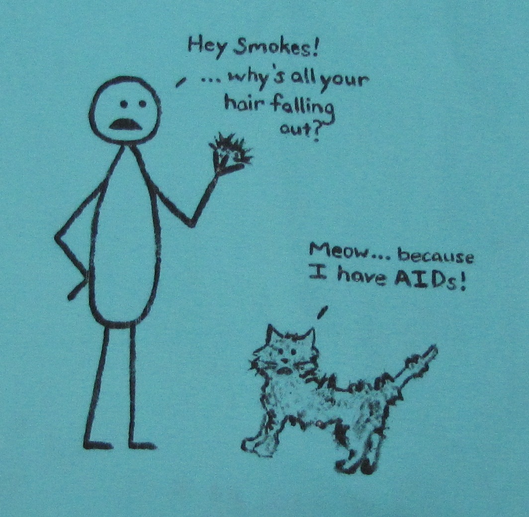 My kitty has AIDS :