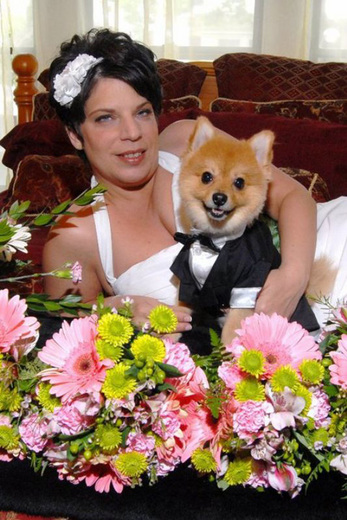 Lady marries her dog