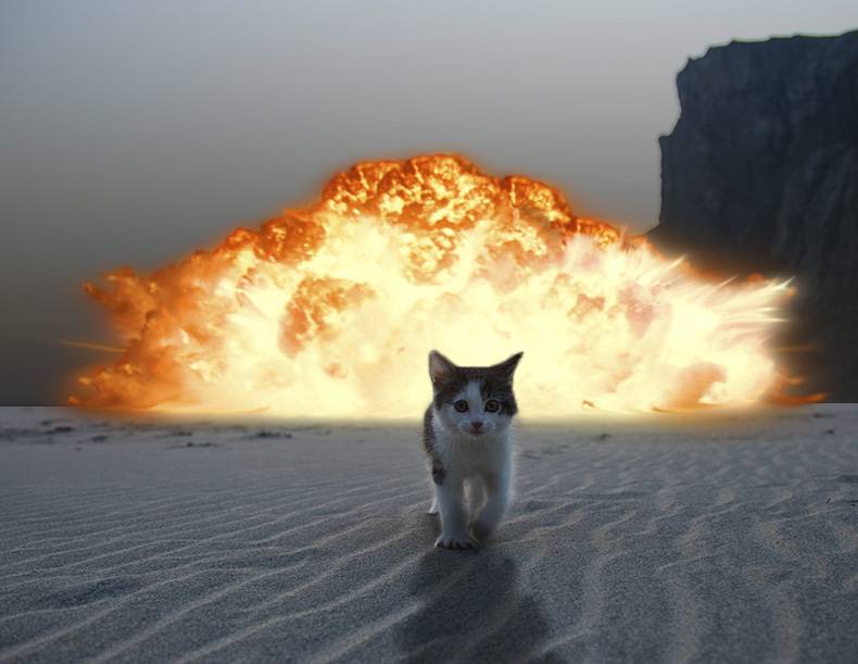 funny cat walking away from explosion