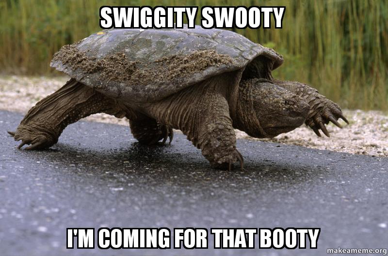 Swiggity Swooty I'm Coming For That Booty