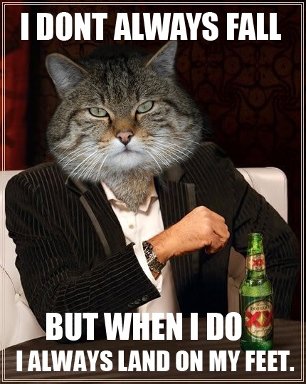 The most interesting cat in the world.
