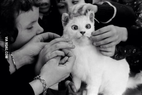 Blind kids touching a cat for the first time.