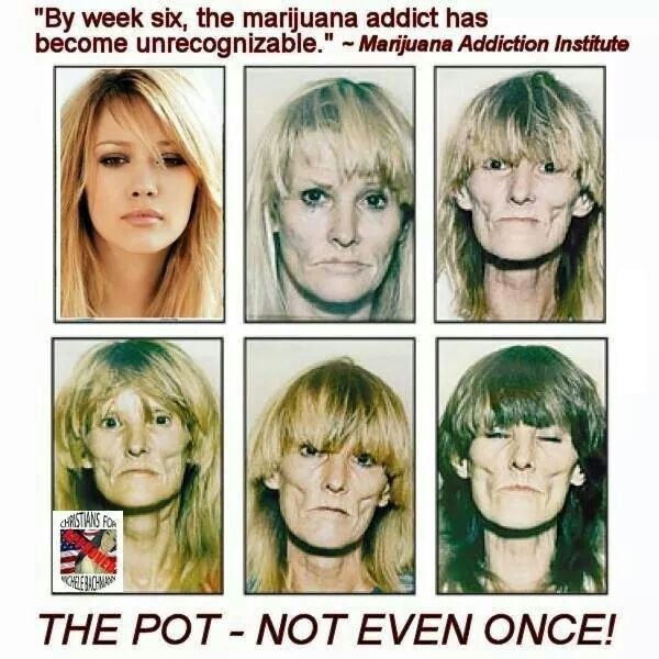 Pot, not even once.
