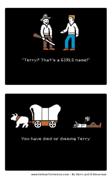 dont dis terry