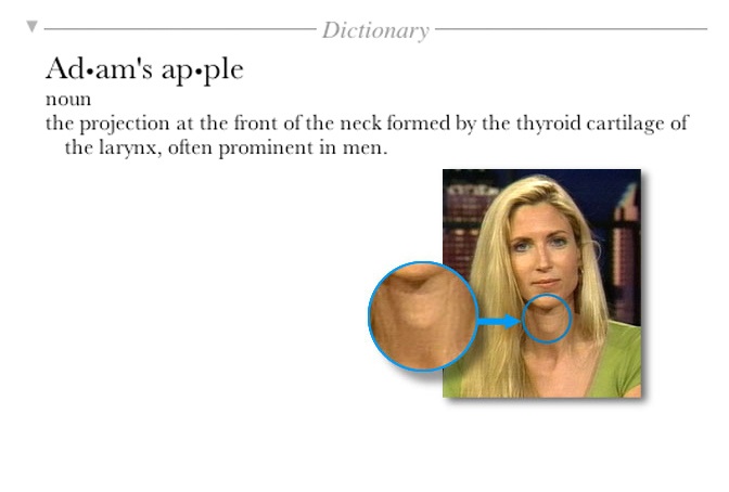 ann coulter is a man - Dictionary Adam's apple noun the projection at the front of the neck formed by the thyroid cartilage of the larynx, often prominent in men.