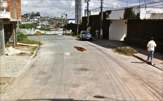 Some More Crazy Google Street View Pictures