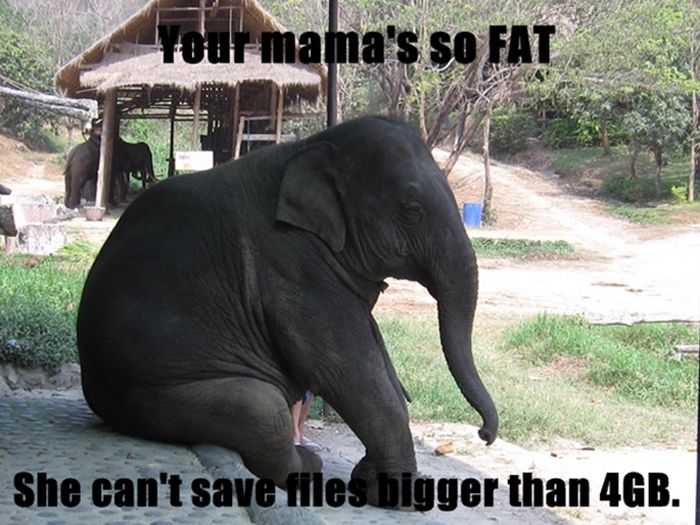 top ten yo mama jokes - Tour mama's so Fat She can't save files bigger than 4GB.