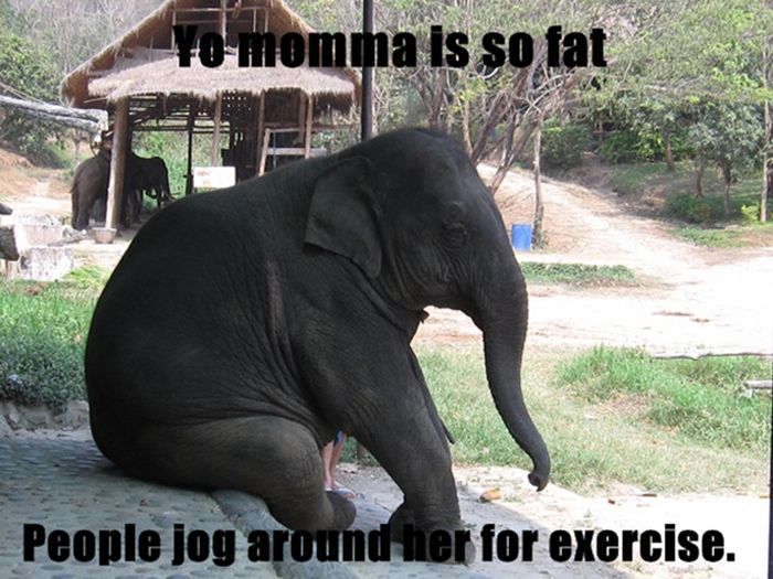 top ten yo mama jokes - Yo momma is so fat People jog around her for exercise.