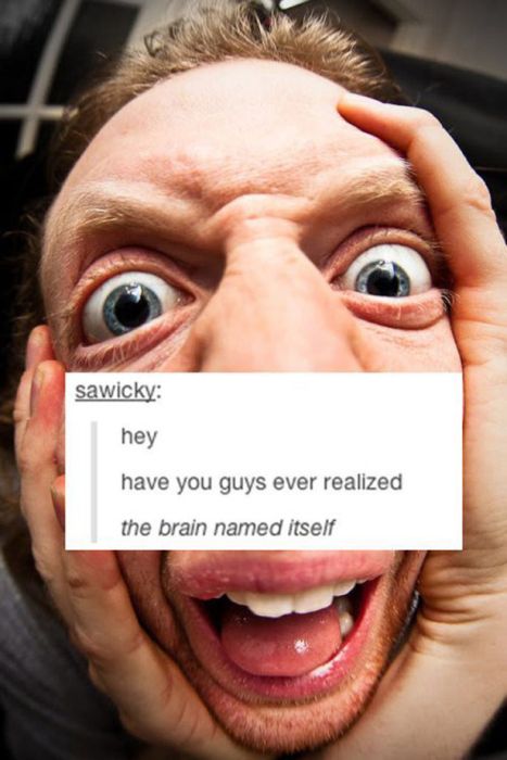 tumblr - Tumblr - sawicky hey have you guys ever realized the brain named itself