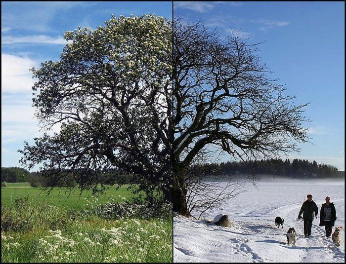 Summer vs Winter