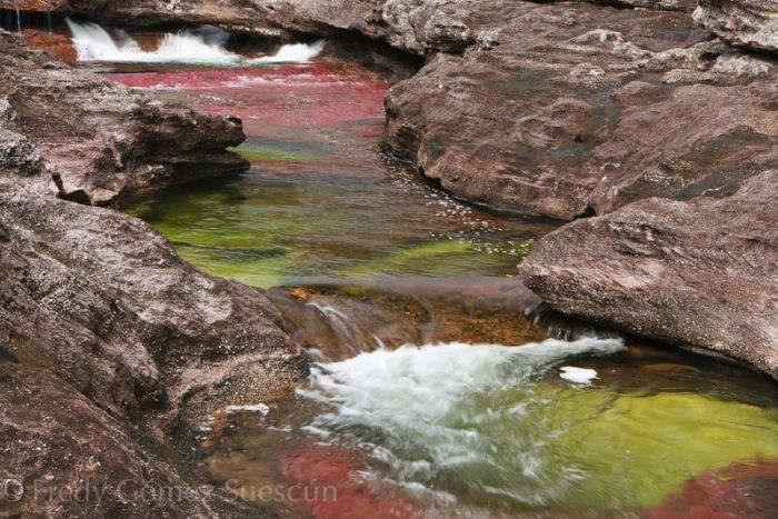 Cano Cristales aka The River of Five Colors