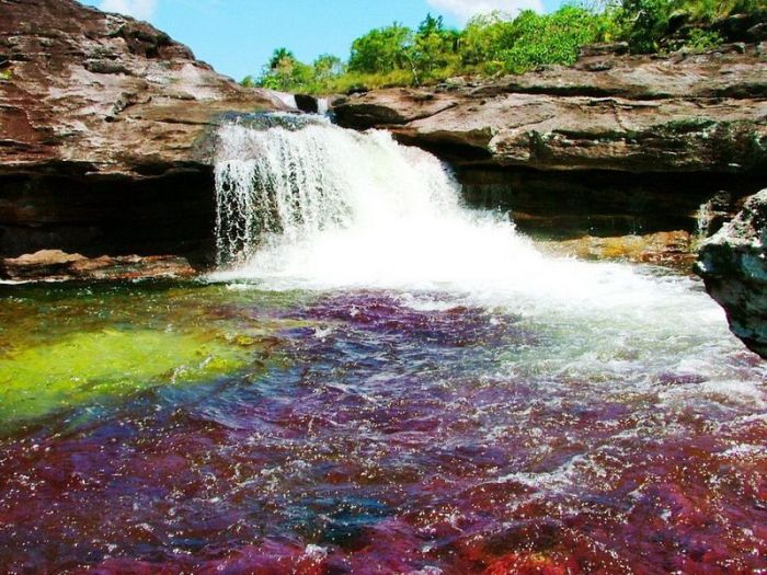 Cano Cristales aka The River of Five Colors